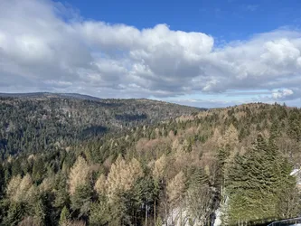 Photo from trip Beskid Sądecki
