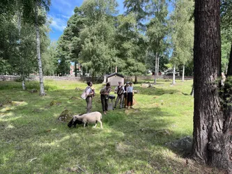 Vimmerby, Sweden – Apple iPhone 13