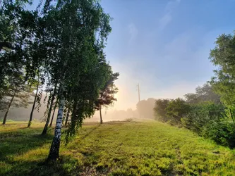 Zwierzyniec, Poland – samsung SM-G970F