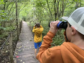Photo from trip Białowieża National Park