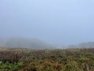 Nyzhnii Turiv, Ukraine – Apple iPhone 12