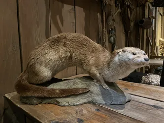 Evjen, Norway – Apple iPhone 13