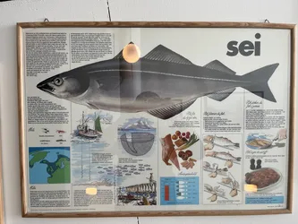 Kabelvåg, Norway – Apple iPhone 13