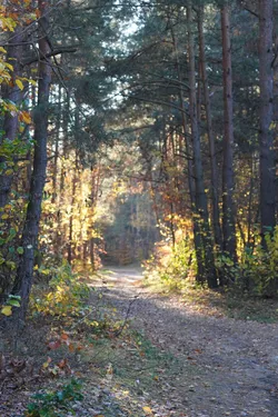 Photo from trip Jura Krakowsko-Częstochowska
