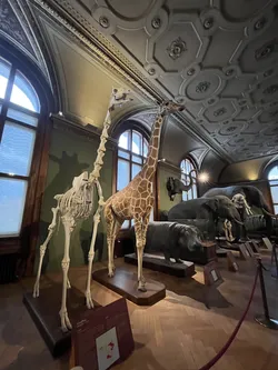 Vienna, Austria – Apple iPhone 13