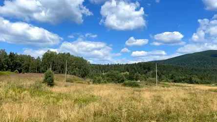 Photo from trip Bieszczady