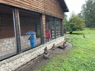 Zamość, Poland – Apple iPhone 12