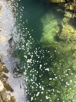 Blejska Dobrava, Slovenia – Apple iPhone 17