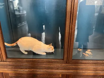 Vienna, Austria – Apple iPhone 13