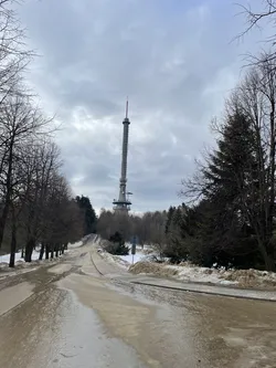 Nowa Słupia, Poland – Apple iPhone 12