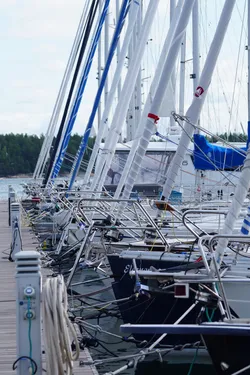 SONY ZV-E10 – Sony FE 70-300mm F4.5-5.6 G OSS