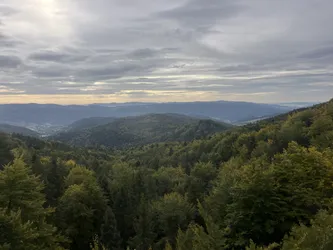Favorite photo from trip Krynica Zdrój