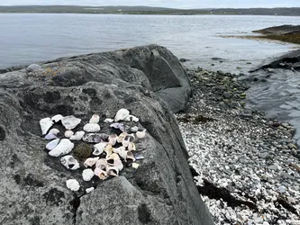 Vardø, Norway – Apple iPhone 13