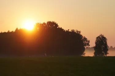 Saue, Estonia – SONY ZV-E10 – Sony FE 70-300mm F4.5-5.6 G OSS