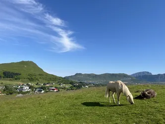 Evjen, Norway – Apple iPhone 13