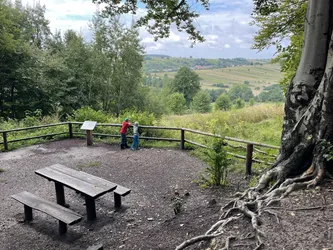 Zwierzyniec, Poland – Apple iPhone 12