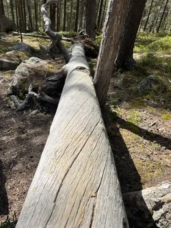 Inari, Finland – Apple iPhone 13