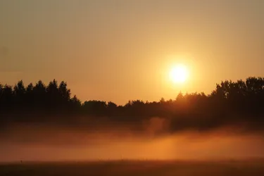 Saue, Estonia – SONY ZV-E10 – Sony FE 70-300mm F4.5-5.6 G OSS