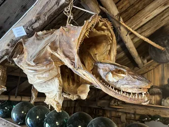 Reine, Norway – Apple iPhone 13