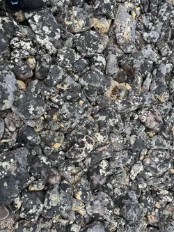 Vardø, Norway – Apple iPhone 13