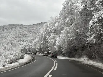 Poieni, Romania – Apple iPhone 17