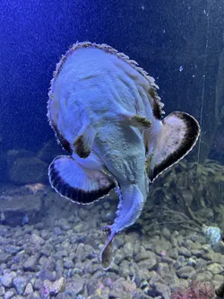 Kabelvåg, Norway – Apple iPhone 13