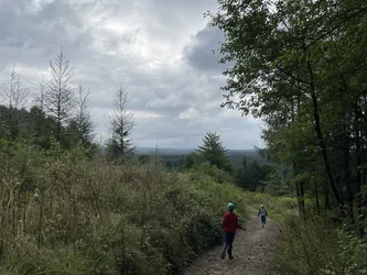 Zwierzyniec, Poland – Apple iPhone 12