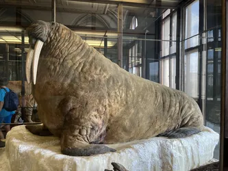 Vienna, Austria – Apple iPhone 13