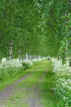 Keminmaa, Finland – SONY ZV-E10 – Sony FE 70-300mm F4.5-5.6 G OSS