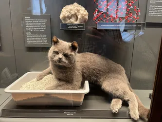 Vienna, Austria – Apple iPhone 13