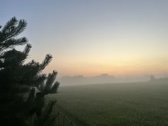 Saue, Estonia – Apple iPhone 13