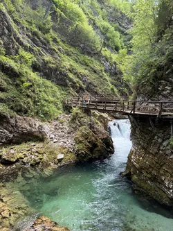Blejska Dobrava, Slovenia – Apple iPhone 17