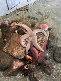 Kabelvåg, Norway – Apple iPhone 13