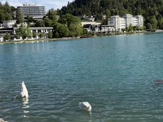 Bled, Slovenia – Apple iPhone 17