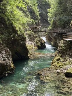 Blejska Dobrava, Slovenia – Apple iPhone 17