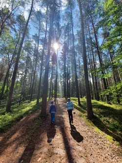 Zwierzyniec, Poland – samsung SM-G970F