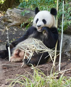 Vienna, Austria – SONY ZV-E10 – FE 70-300mm F4.5-5.6 G OSS