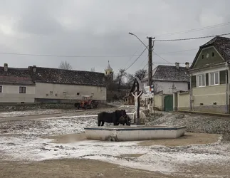 Chirpăr, Romania – Apple iPhone 17