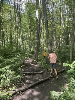 Photo from trip Bieszczady