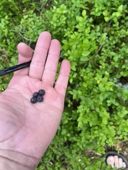 Särkisalo, Finland – Apple iPhone 13