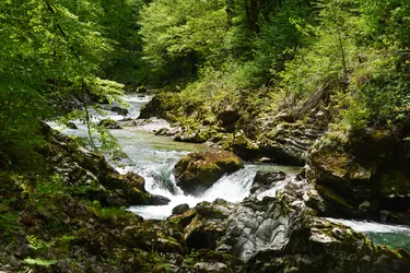 Blejska Dobrava, Slovenia – SONY ZV-E10 – Sony FE 70-300mm F4.5-5.6 G OSS