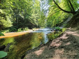 Susiec, Poland – samsung SM-G970F