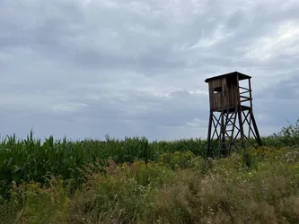 Dubiecko, Poland – Apple iPhone 13