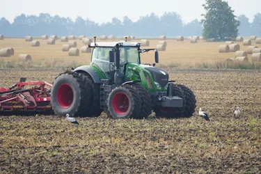 Šiauliai, Lithuania – SONY ZV-E10 – Sony FE 70-300mm F4.5-5.6 G OSS