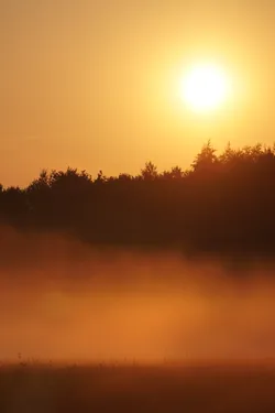 Saue, Estonia – SONY ZV-E10 – Sony FE 70-300mm F4.5-5.6 G OSS
