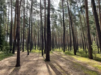 Oseredek, Poland – Apple iPhone 12