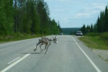 SONY ZV-E10 – Sony FE 70-300mm F4.5-5.6 G OSS