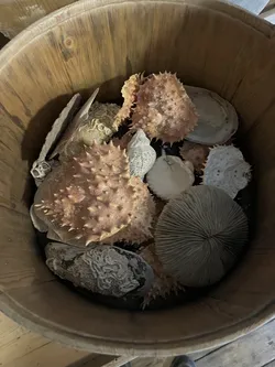 Reine, Norway – Apple iPhone 13