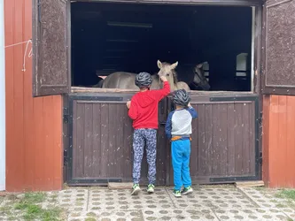 Zwierzyniec, Poland – Apple iPhone 12