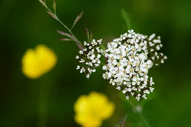 Keminmaa, Finland – SONY ZV-E10 – Sony FE 70-300mm F4.5-5.6 G OSS